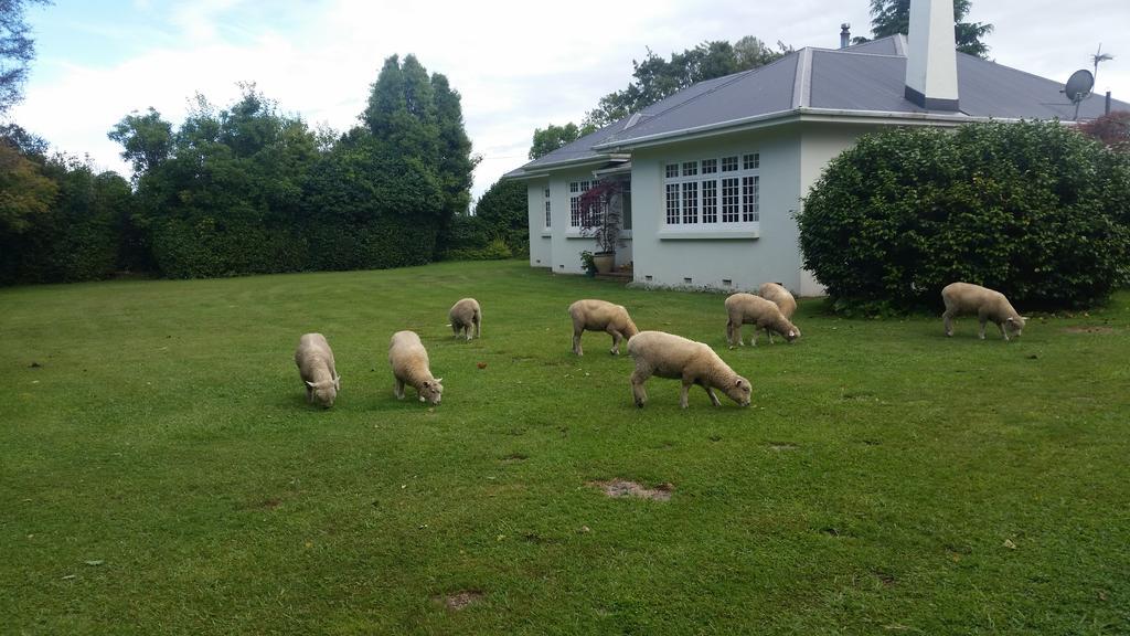 Homestead B&B Cambridge Eksteriør billede
