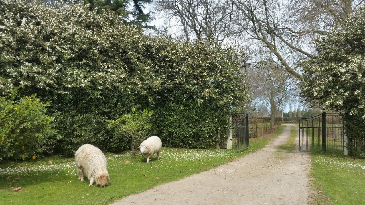 Homestead B&B Cambridge Eksteriør billede